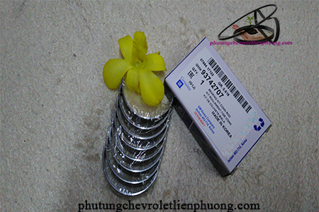 bạc biên xe Laceti chính hãng bạc biên xe Laceti chính hãng