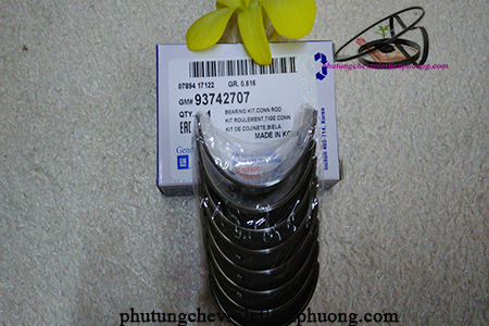 bạc biên xe Laceti/Gentra bạc biên xe Laceti/Gentra