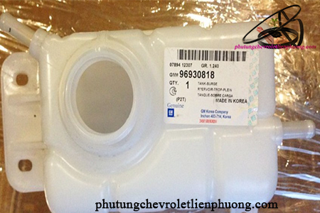 Bình nước phụ gentra Bình nước phụ gentra