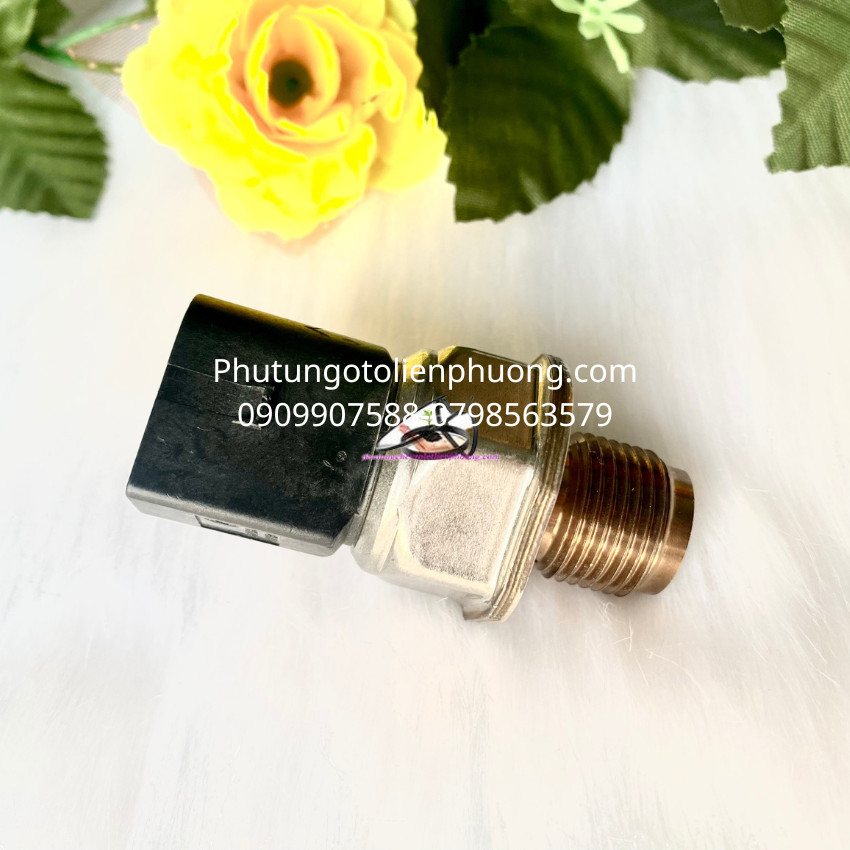 cảm biến ống rail ranger cảm biến ống rail ranger