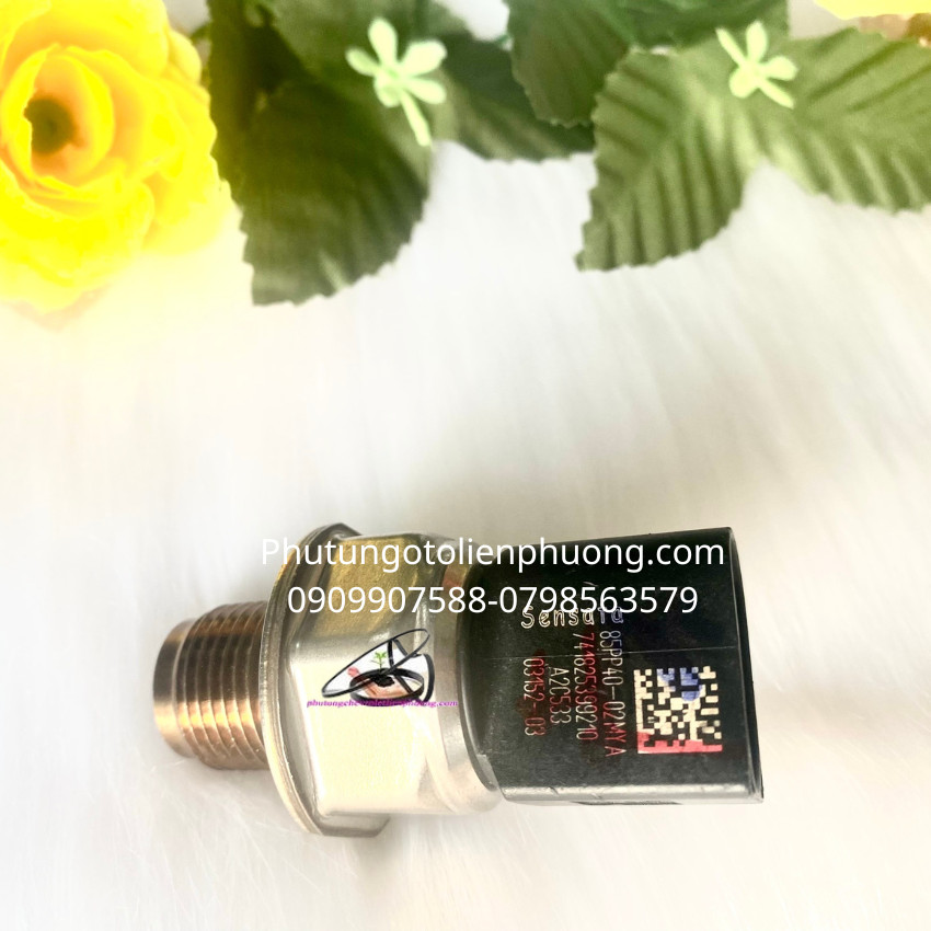 cảm biến ống rail ranger cảm biến ống rail ranger