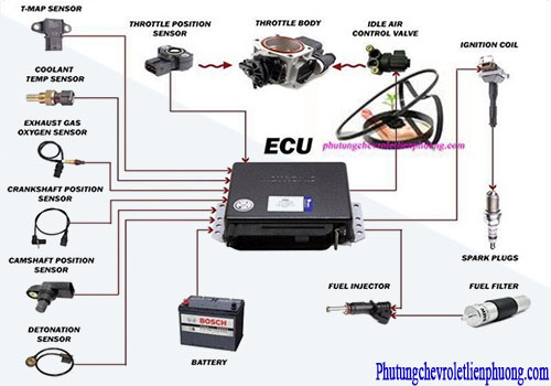 Cảm biến oxy xe ô tô có cấu tạo và chức năng như thế nào? Cảm biến oxy xe ô tô đo nồng độ oxy và truyền tín hiệu về ECU