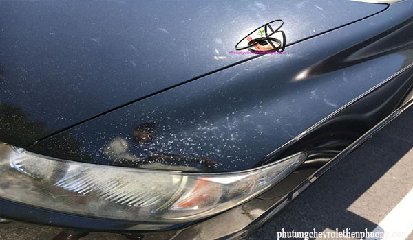 mua xe chevrolet captiva cũ mua xe chevrolet captiva cũ