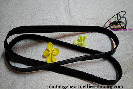 dây curoa tổng xe captiva dây curoa tổng xe captiva