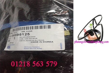 dây điện động cơ xe magnus chính hãng dây điện động cơ xe magnus chính hãng