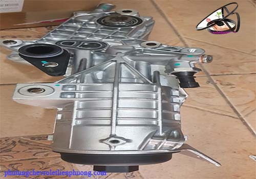 két sinh hàn colorado két sinh hàn colorado