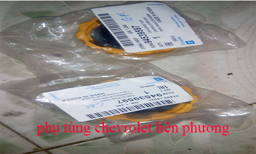 Nắp bình nước phụ xe captiva Nắp bình nước phụ xe captiva