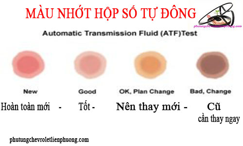 nhớt hộp số ô tô nhớt hộp số ô tô