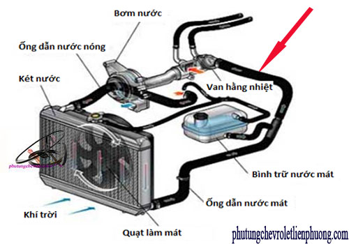 Ống nước từ chia nước đến van hằng nhiệt xe Chevrolet Captiva Chi tiết vị trí ống nước từ chia nước đến van hằng nhiệt xe Chevrolet Captiva