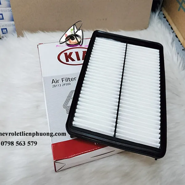 Lọc gió động cơ santafe máy 2.0, Kia sorento hàng cao cấp mã 28113-2P300 đời 2009 - 2012