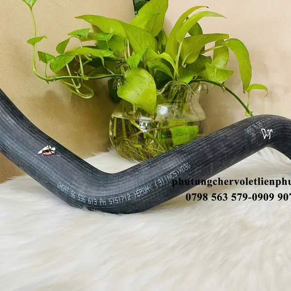 Ống nước dưới Daewoo Gentra Aveo GM 96536613