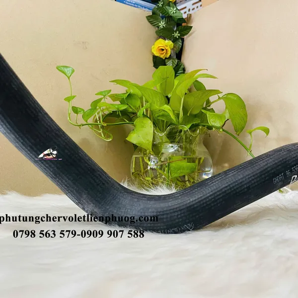Ống nước dưới Daewoo Gentra Aveo GM 96536613