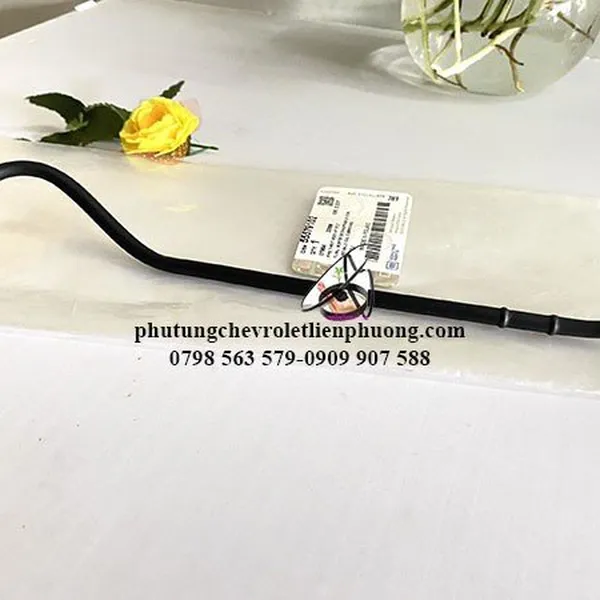 Ống nước vào thân bướm ga xe Orlando