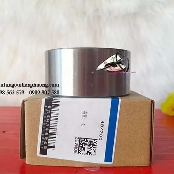 Bi moay ơ trước ford ecosport chính hãng