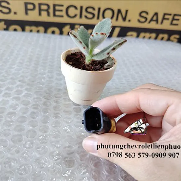 Cảm biến nhiệt độ nước colorado traiblazer chính hãng mã 90570185