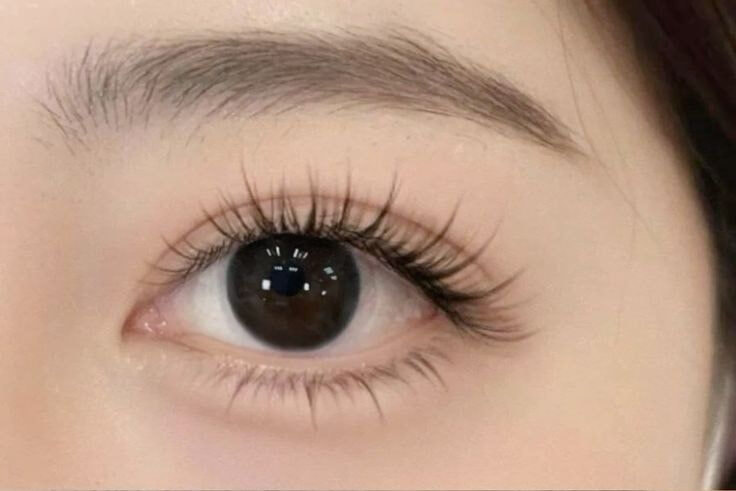 Những kiểu nối mi