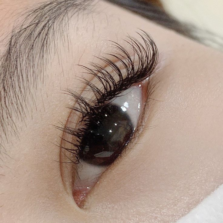 Công Thức Nối Mi Wispy