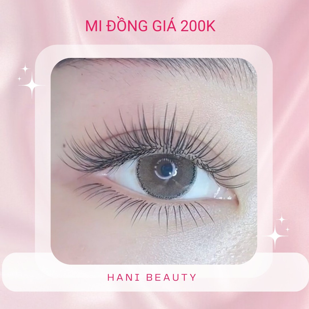 Các Kiểu Nối Mi Hiện Nay: 7 Kiểu Mi Nối Đang Được Ưa Chuộng 14 Kiểu Nối Mi