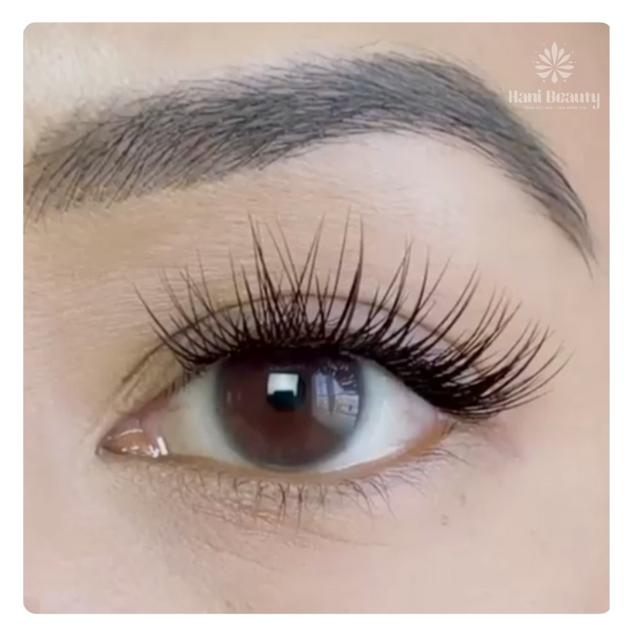 Các Kiểu Nối Mi Hiện Nay: 7 Kiểu Mi Nối Đang Được Ưa Chuộng 15 Kiểu Nối Mi