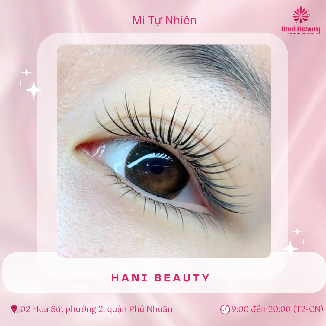 Các Kiểu Nối Mi Hiện Nay: 7 Kiểu Mi Nối Đang Được Ưa Chuộng 16 Kiểu Nối Mi
