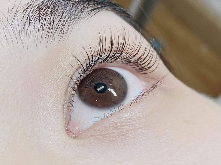 Mẫu Nối Mi Tự Nhiên