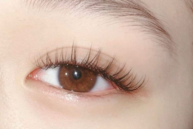 Mi Fan Sẵn: Tiết Kiệm Thời Gian, Tăng Hiệu Quả Nối Mi