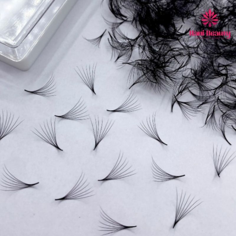 Lông mi fan sẵn dễ sử dụng