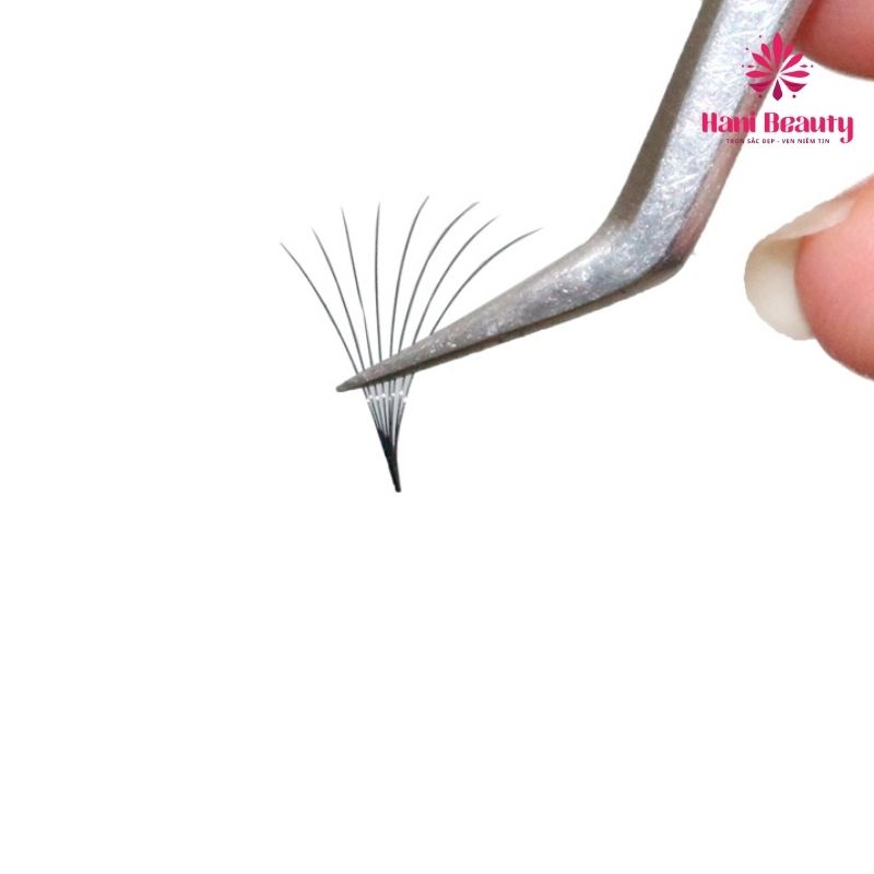 Mi fan tay có chất lượng đồng đều với phần chân chụm, ngọn xòe hình quạt