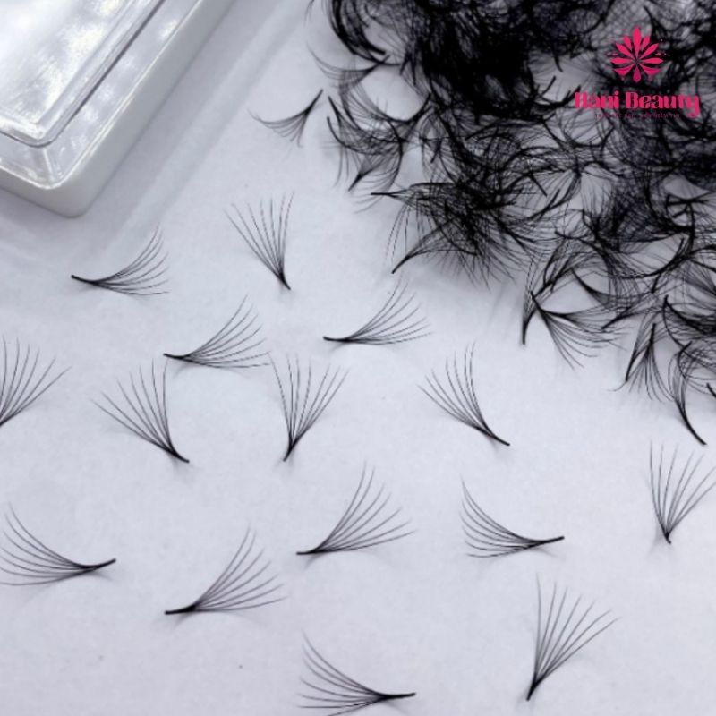 Lông mi fan sẵn có phần chân chụm lại, ngọn xòe đều