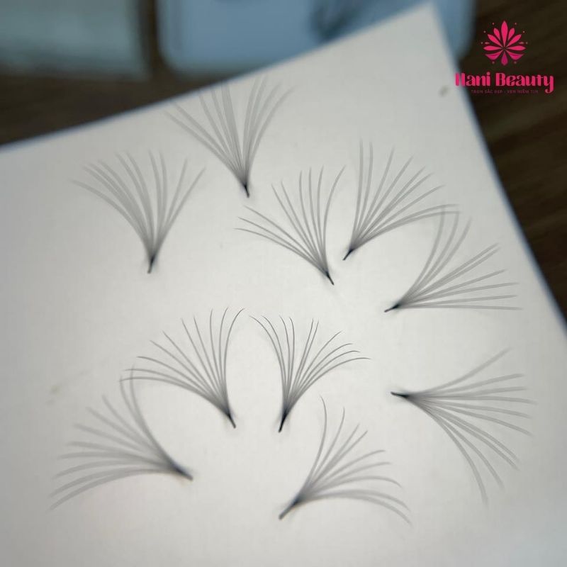 Thao tác nối lông mi fan tay sẵn cần đảm bảo đúng chuẩn