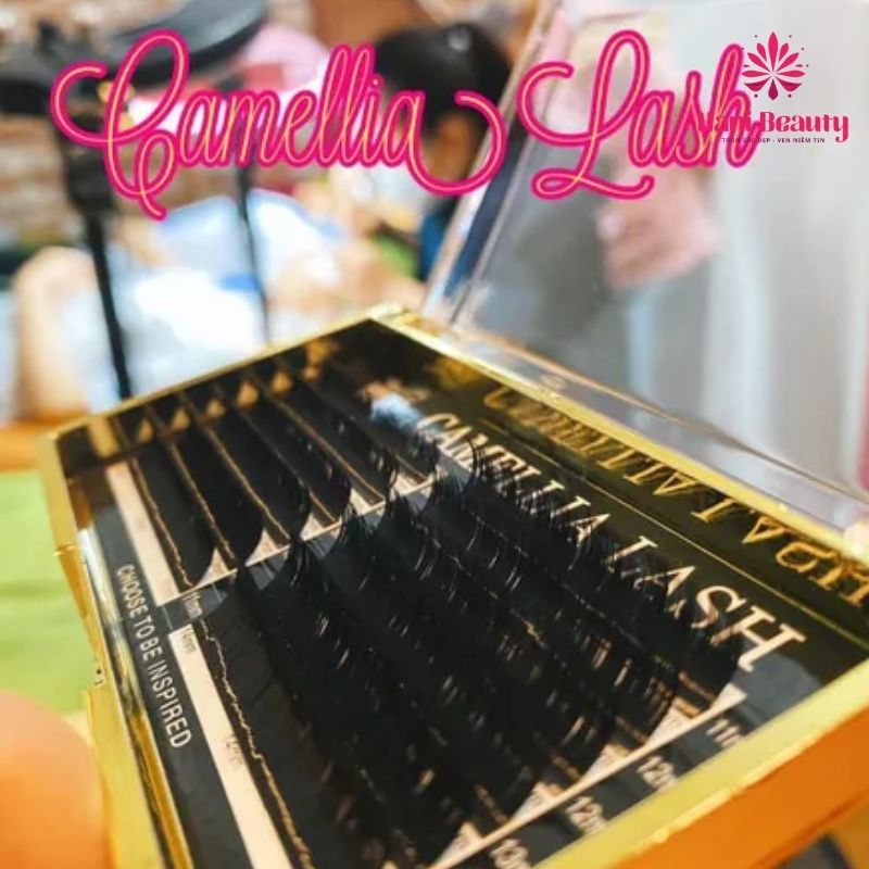 Mi khay sole Camellia có độ dài ngắn so le nhau