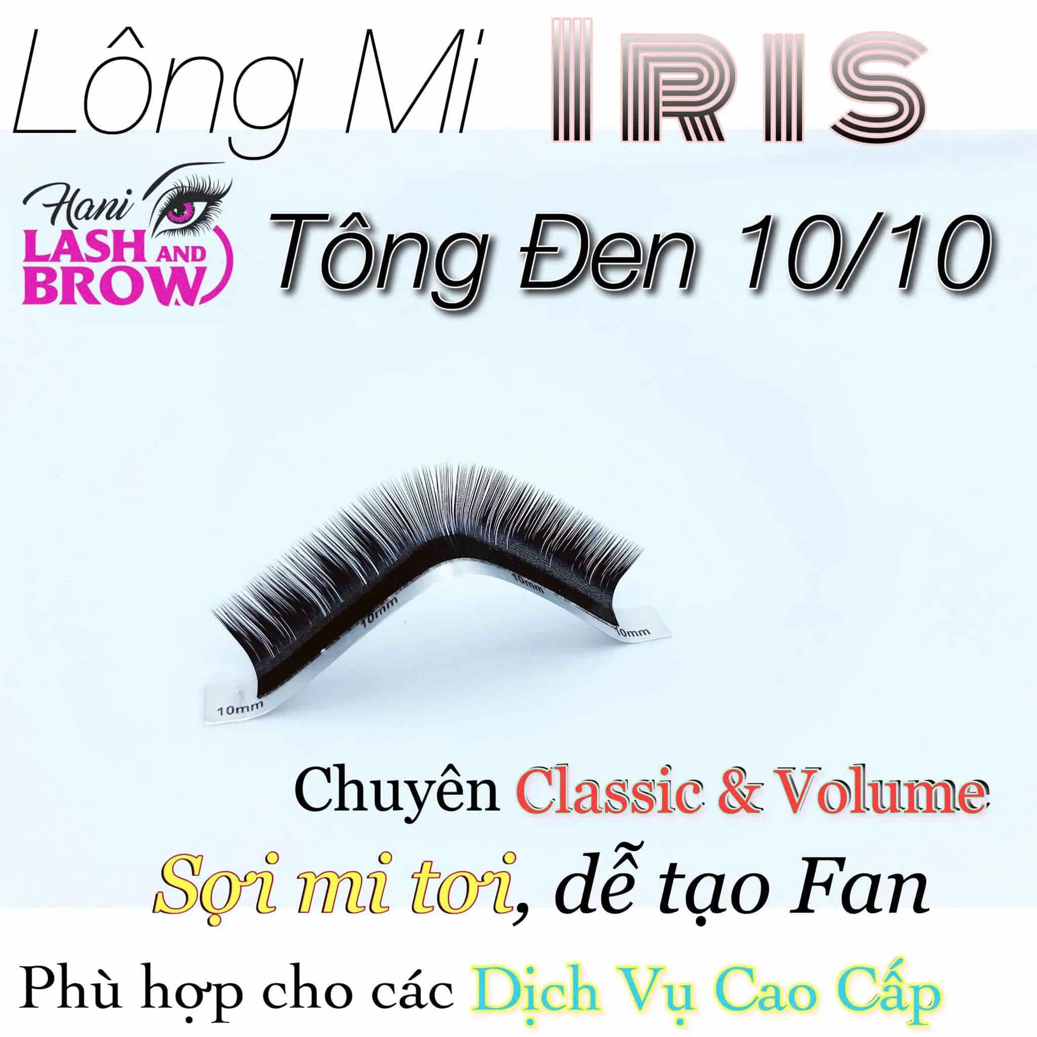 Mi khay Iris cao cấp – dòng mi được ưa chuộng bởi thợ nối chuyên nghiệp.