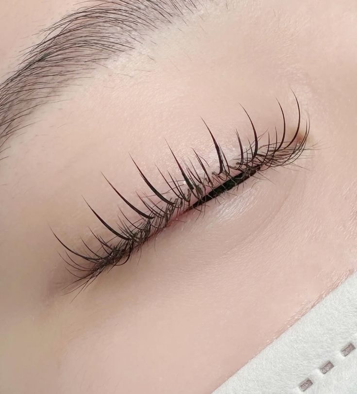 Nối Mi Tự Nhiên Hàn Quốc