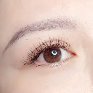 Sau Cắt Mí Bao Lâu Thì Được Nối Mi An Toàn Và Đẹp Tự Nhiên?