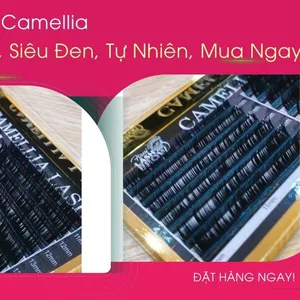 Mi Khay Sole Camellia Dày 0.07mm, Siêu Đen, Tự Nhiên, Mua Ngay!