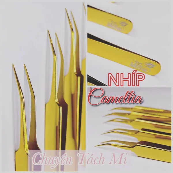 NHÍP SIÊU TÁCH MI CAMELLIA