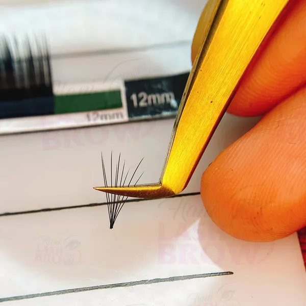 NHÍP NỐI MI VOLUME VÀNG THẦN THÁNH