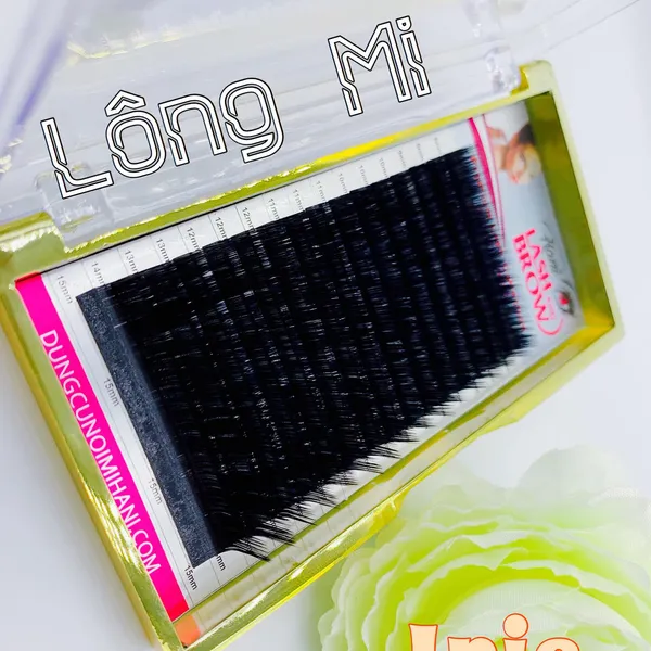 MI IRIS CAO CẤP ĐỘ CONG (M & L)
