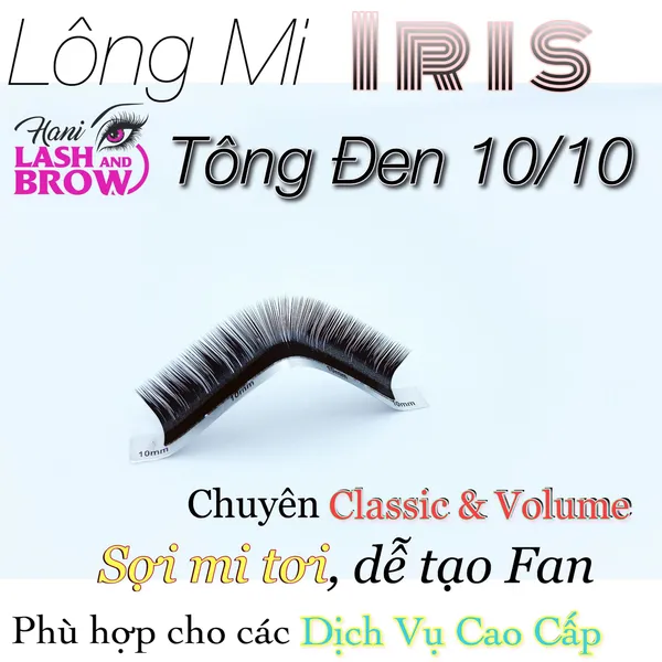 MI IRIS CAO CẤP ĐỘ CONG (M & L)