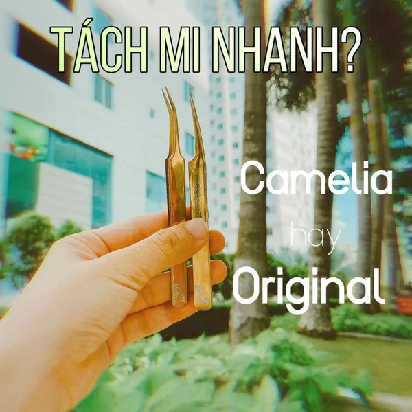 NHÍP TÁCH MI TRUYỀN THỐNG CAO CẤP