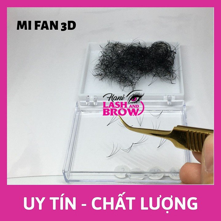 Lông Mi Fan 3D - Mi Fan Sẵn - Siêu Đen - Dễ Bắt Keo - Nhập Khẩu 100%