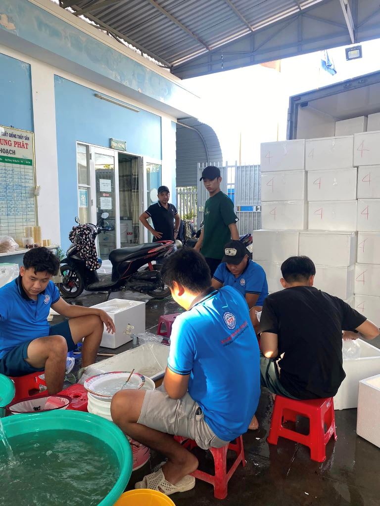 Mẫu đồng phục nhân viên tại công ty Thuỷ Sản Nam Trung Phát - Hình 1