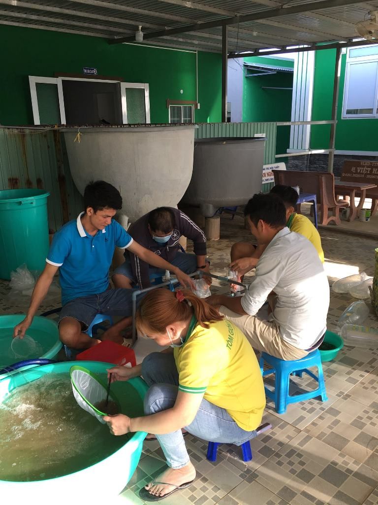 Mẫu đồng phục nhân viên tại công ty Tôm Giống Tôm Vàng - Hình 1