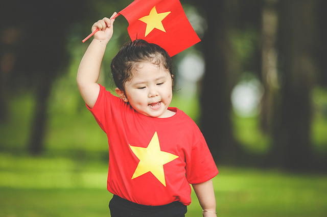 Vải cotton đang là một trong những mẫu vải được sử dụng nhiều nhất