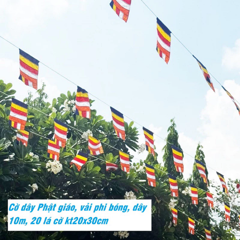 Hình ảnh sản phẩm thực tế - Hình 1