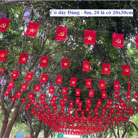 Hình ảnh sản phẩm thực tế - Hình 1