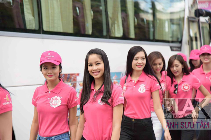 Mẫu áo thun cổ bẻ - dùng cho văn phòng, sự kiện ngoài trời