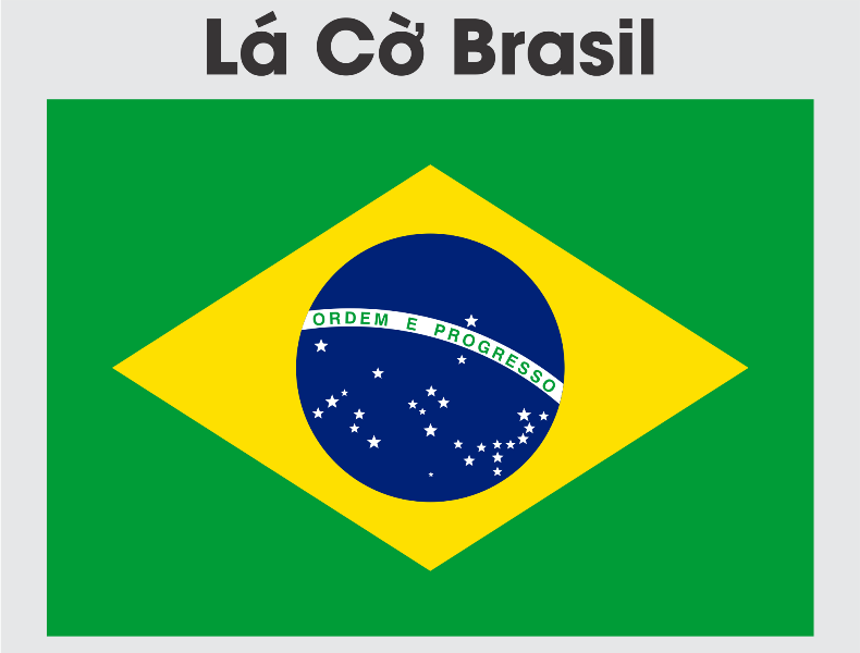 Tìm hiểu ý nghĩa lá cờ Brazil và tải file vector mới nhất