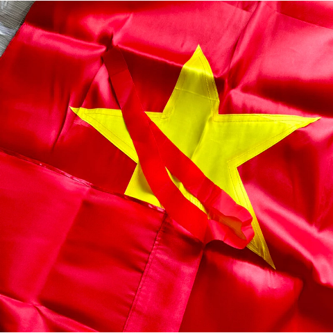 Hình ảnh thực tế sản phẩm lá cờ treo chung cư - Hình 3