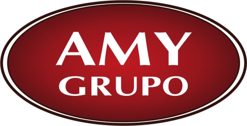 Mẫu thiết kế logo công ty AMY GRUPO